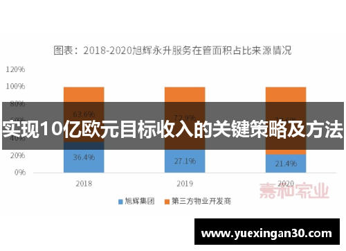 实现10亿欧元目标收入的关键策略及方法